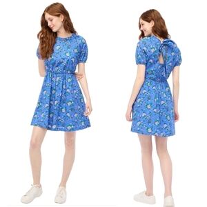 J.Crew Puff-Sleeve Tie Blue Floral Dress Size 4 NWT Cottagecore Coquette Peasant